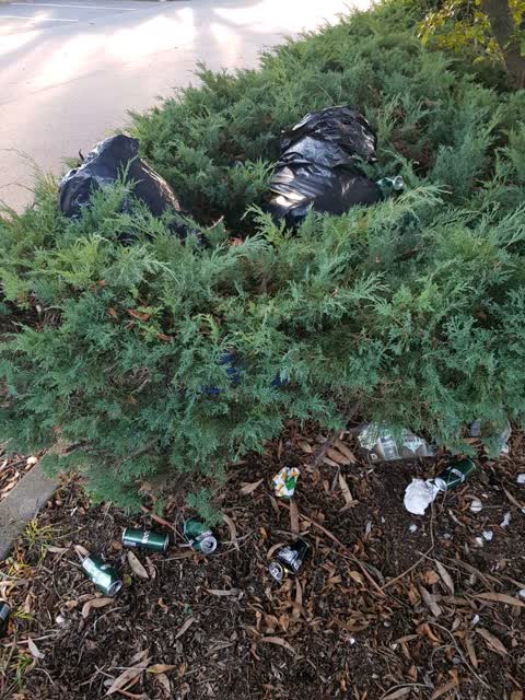 Rubbish/Recycling, a report photo