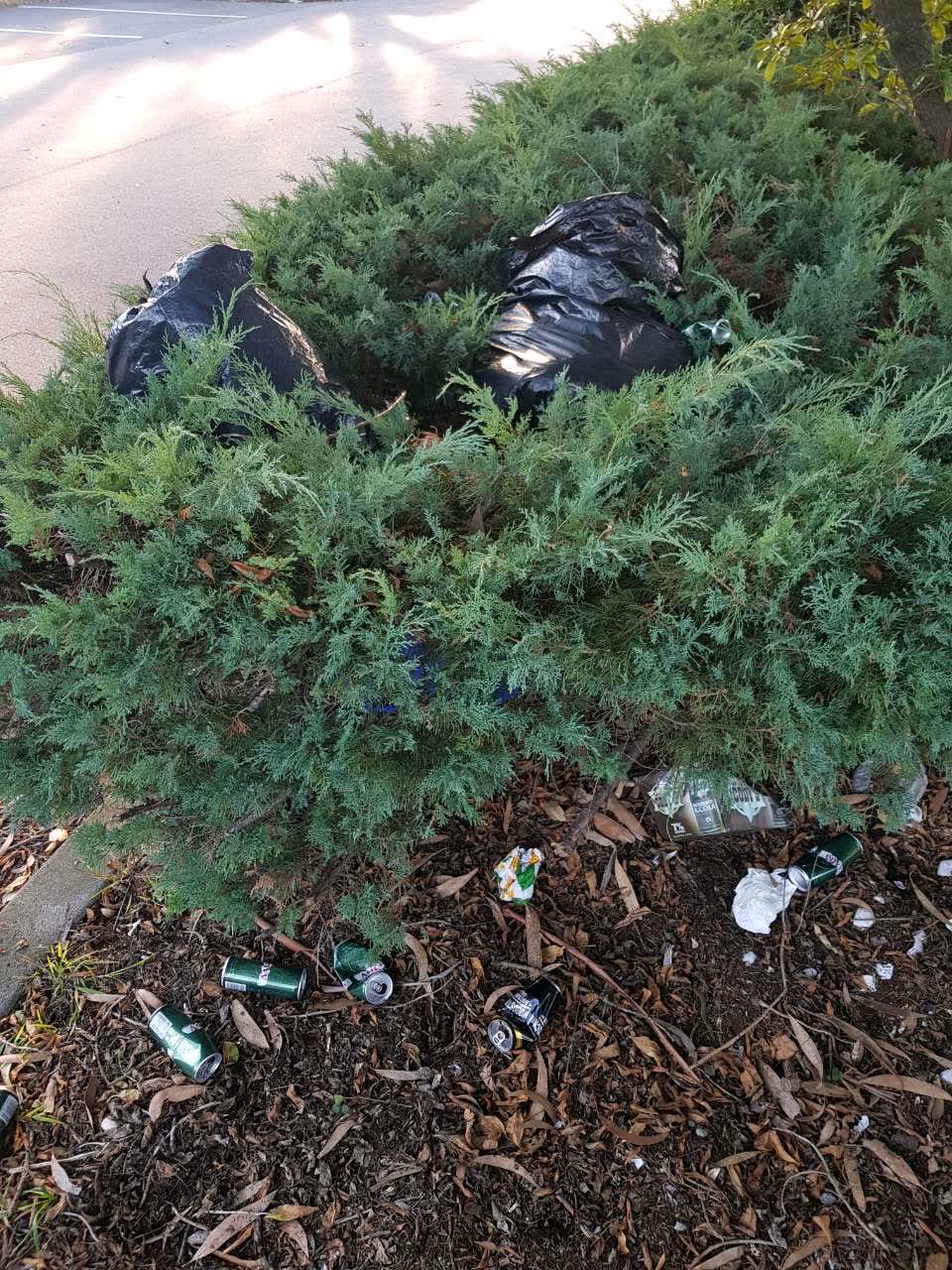 The photograph attached to this rubbish/recycling report