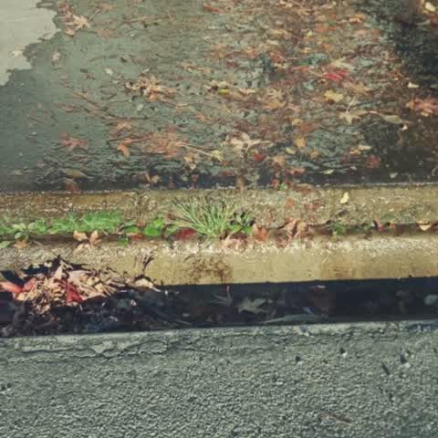 Wastewater/Stormwater, a report photo