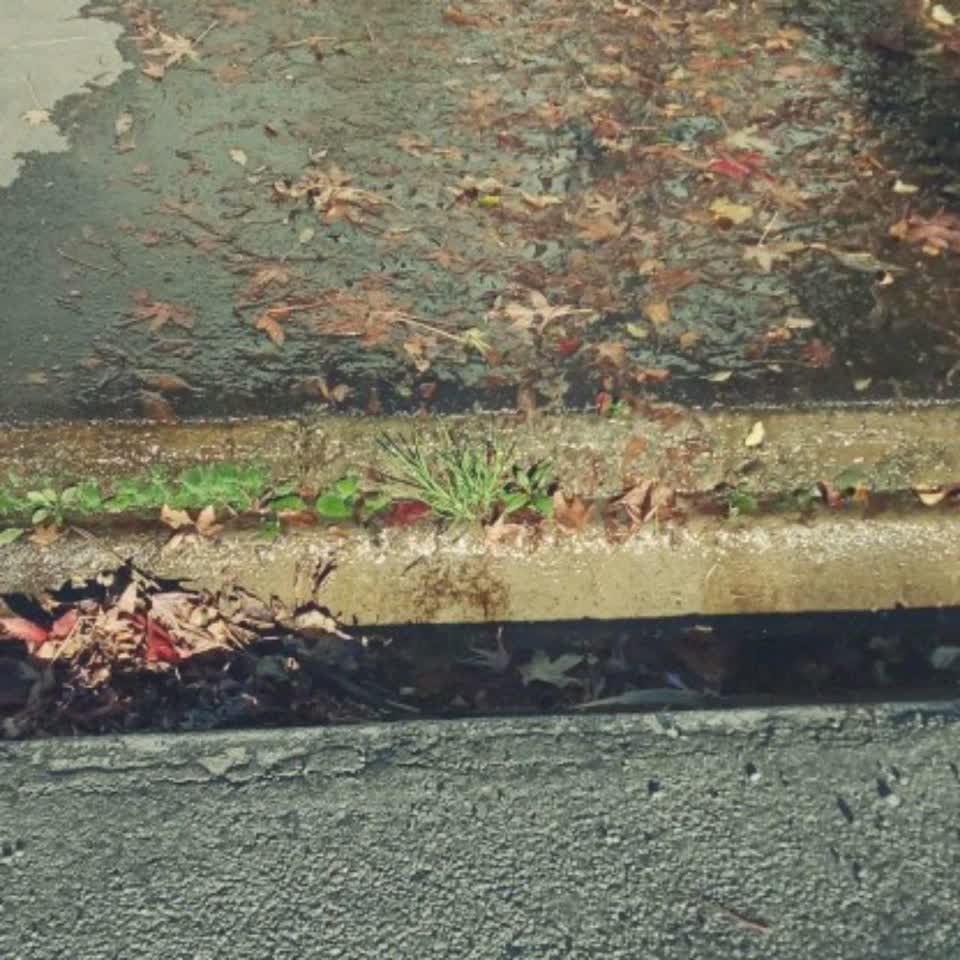The photograph attached to this wastewater/stormwater report