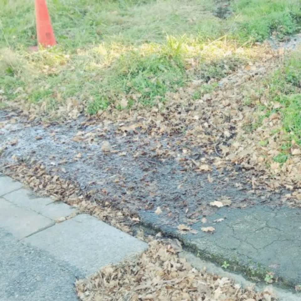 The photograph attached to this wastewater/stormwater report