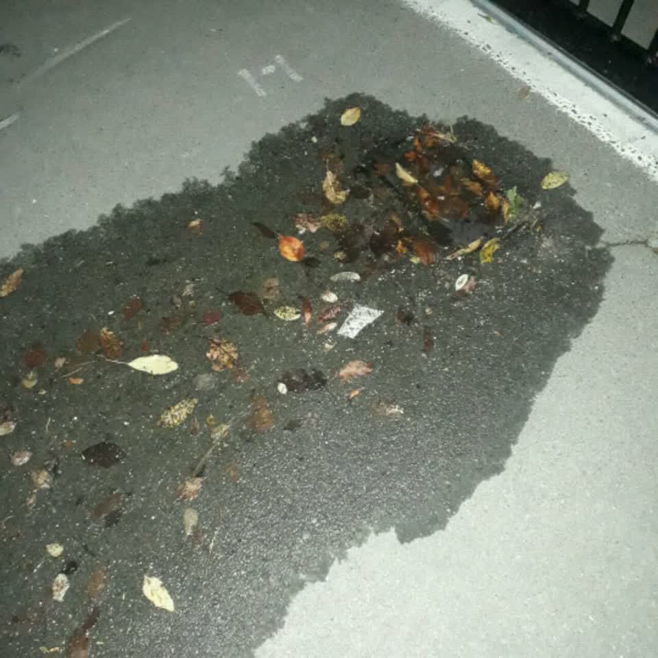 The photograph attached to this water supply report