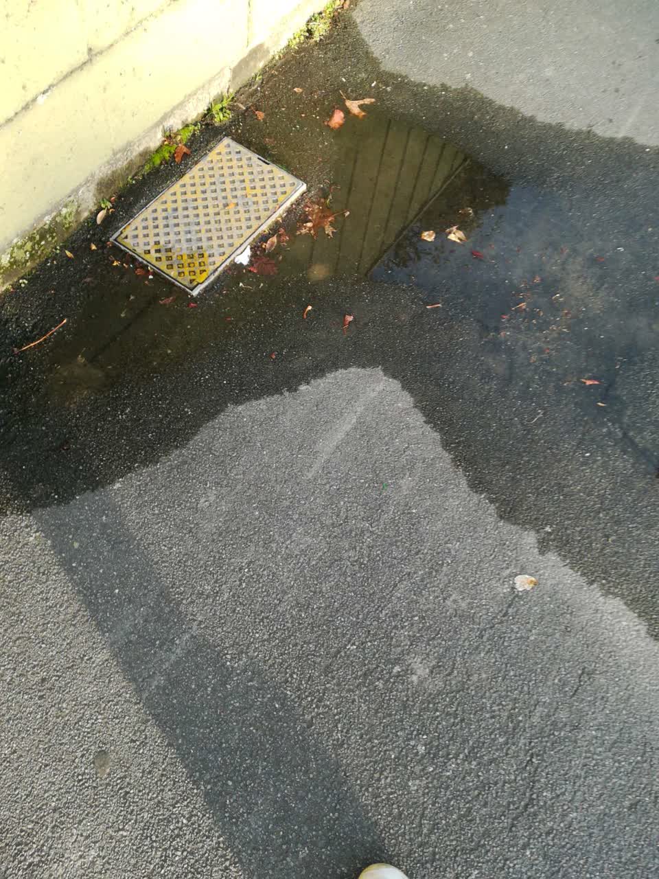 The photograph attached to this water supply report