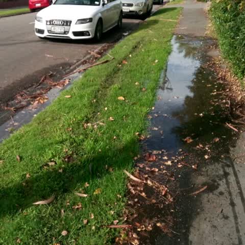 Wastewater/Stormwater, a report photo