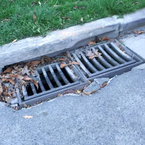 Roading/Streets, a report photo