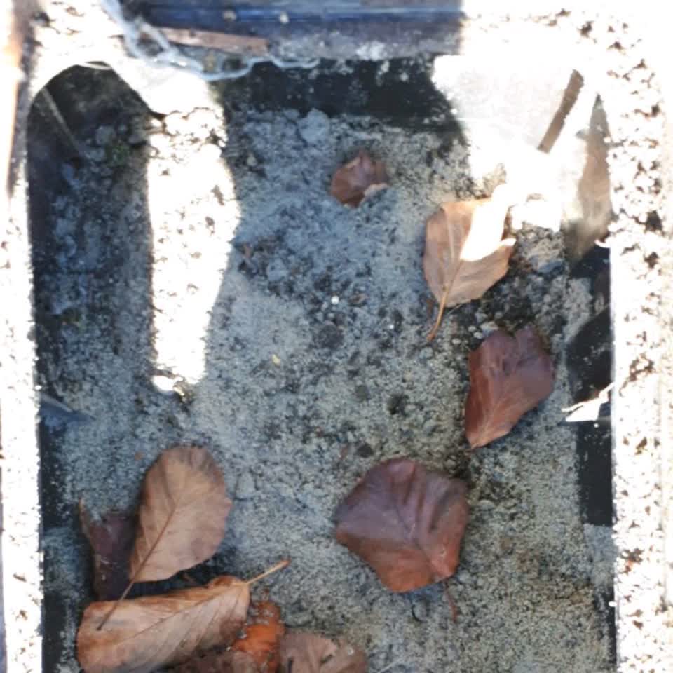 The photograph attached to this wastewater/stormwater report