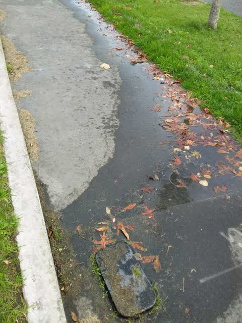 Wastewater/Stormwater, a report photo