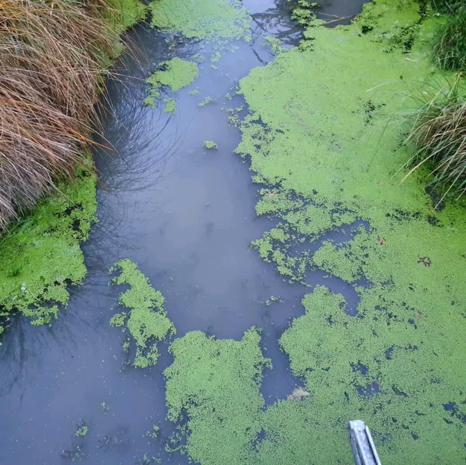 The photograph attached to this wastewater/stormwater report