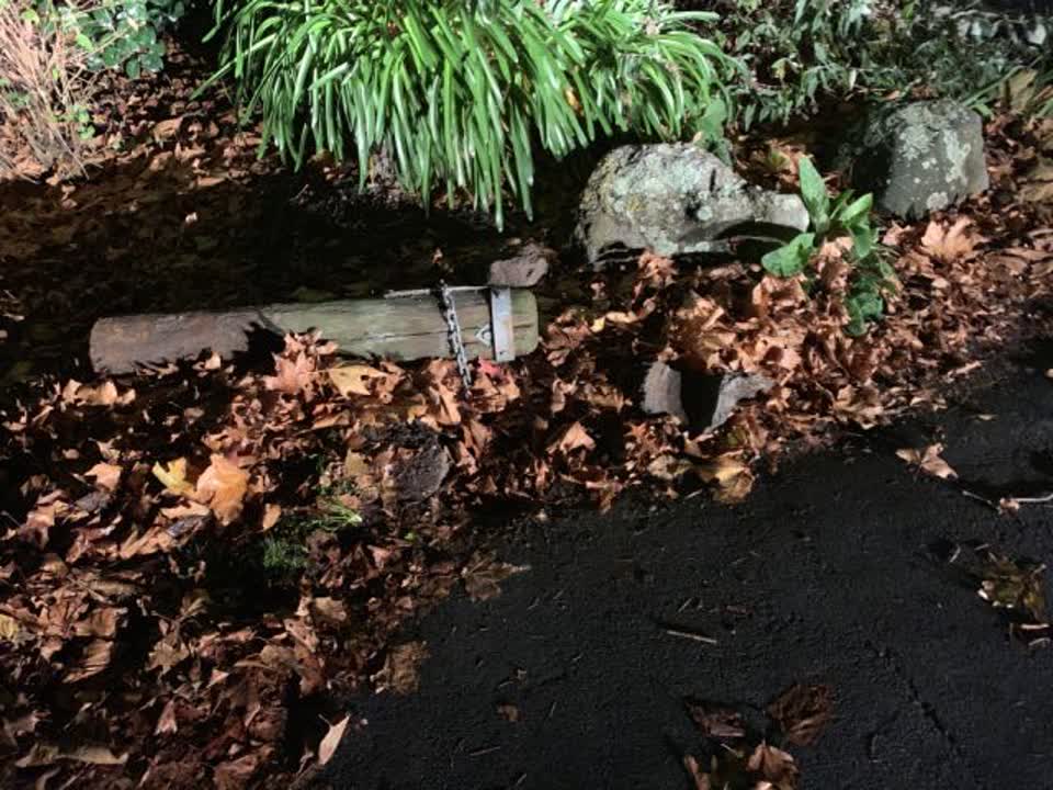 The photograph attached to this parks report