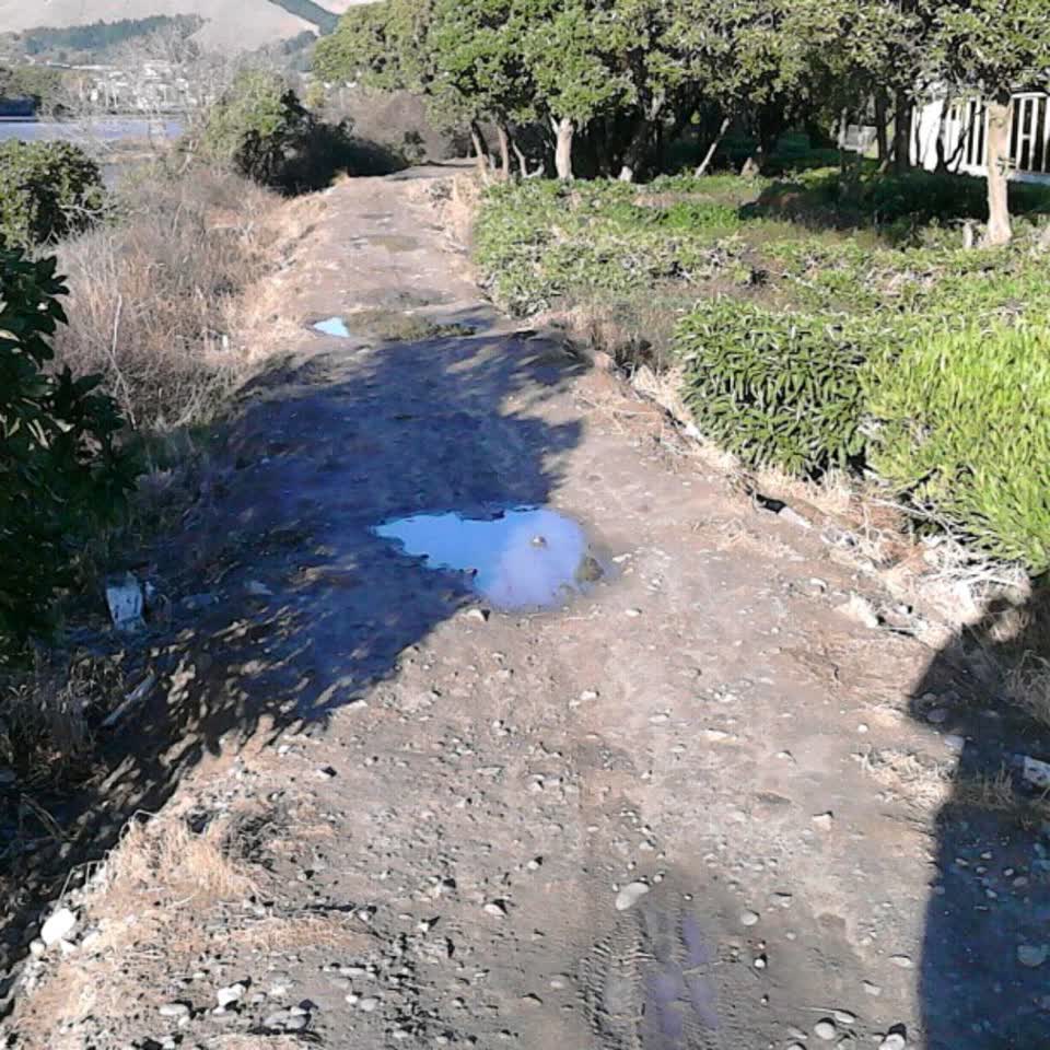 The photograph attached to this parks report