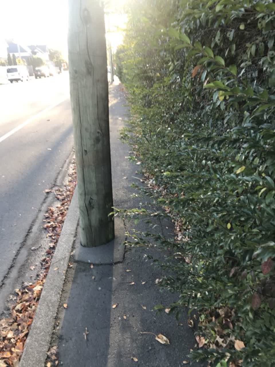 The photograph attached to this roading/streets report