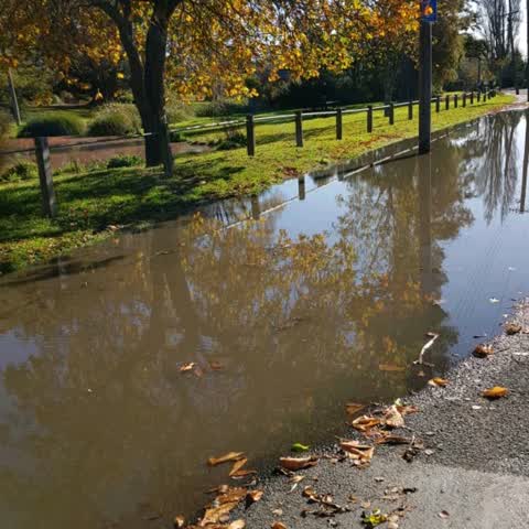 Flooding, a report photo