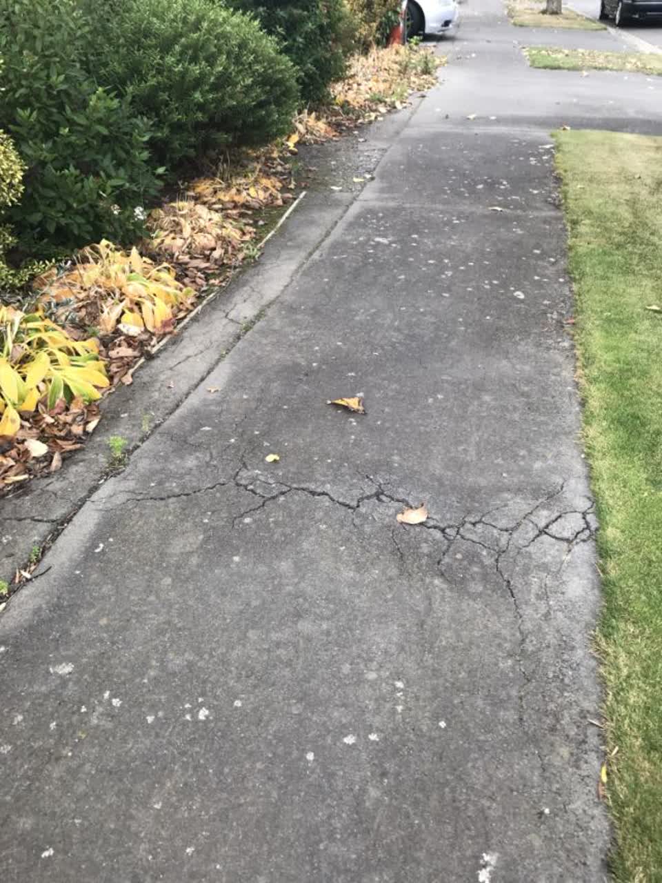 The photograph attached to this roading/streets report