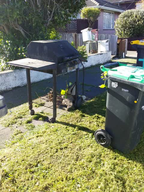 Rubbish/Recycling — a report photo