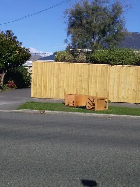 Rubbish/Recycling, a report photo