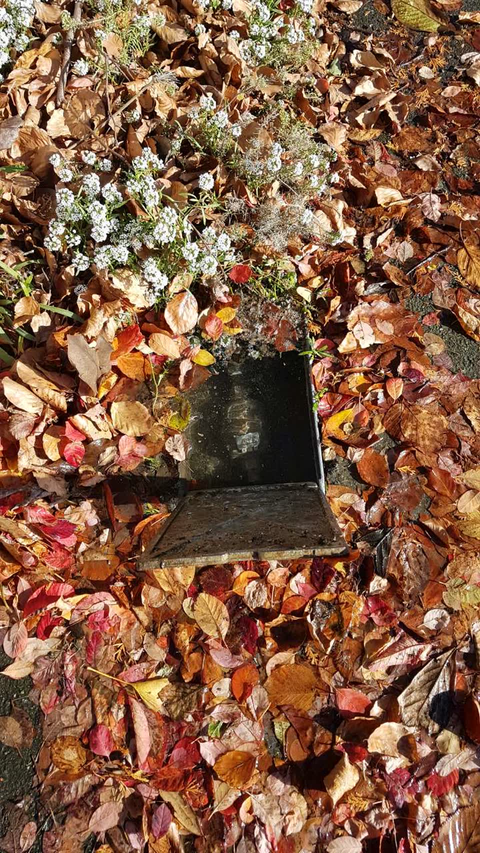 The photograph attached to this water supply report