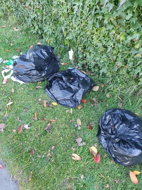 Rubbish/Recycling, a report photo