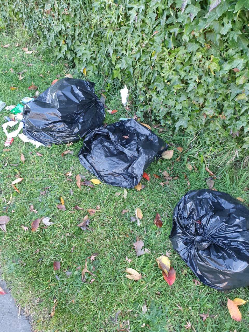 The photograph attached to this rubbish/recycling report