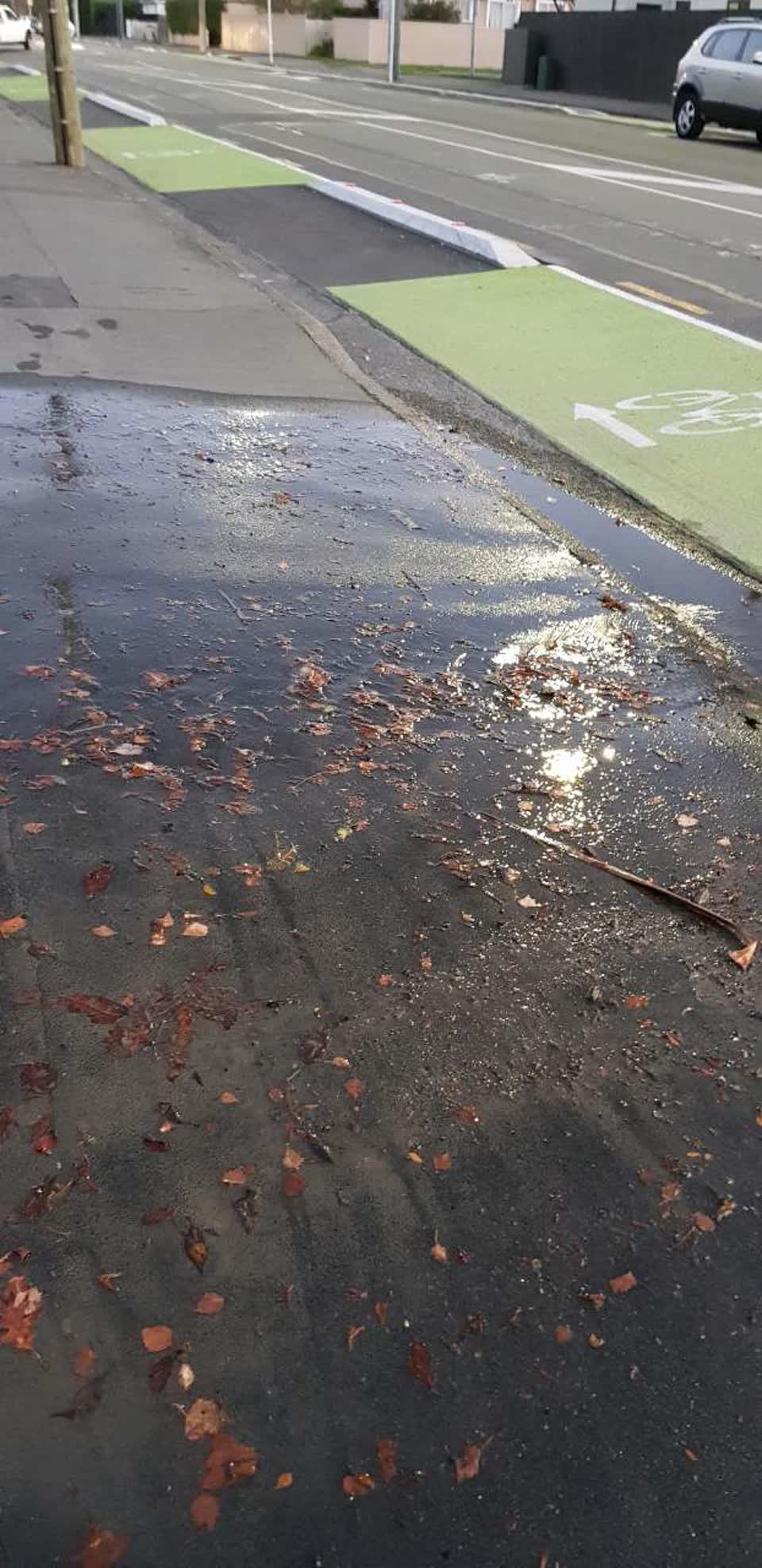 The photograph attached to this wastewater/stormwater report