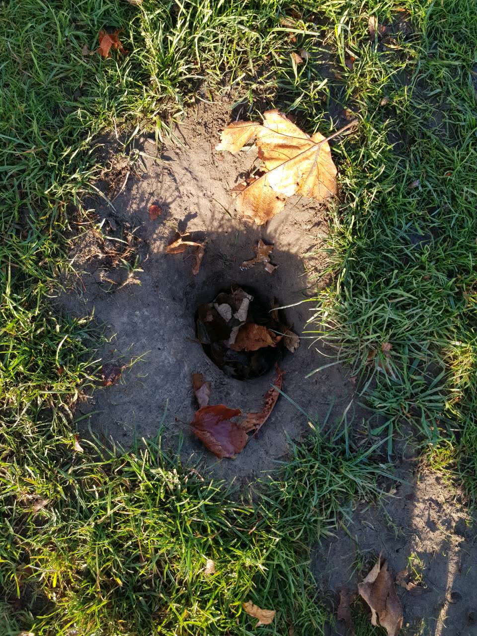 The photograph attached to this parks report