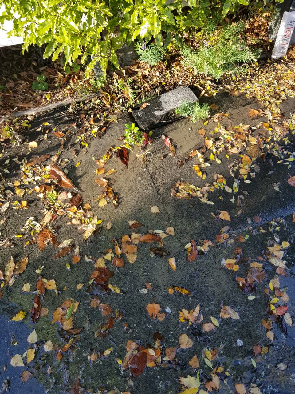 The photograph attached to this water supply report