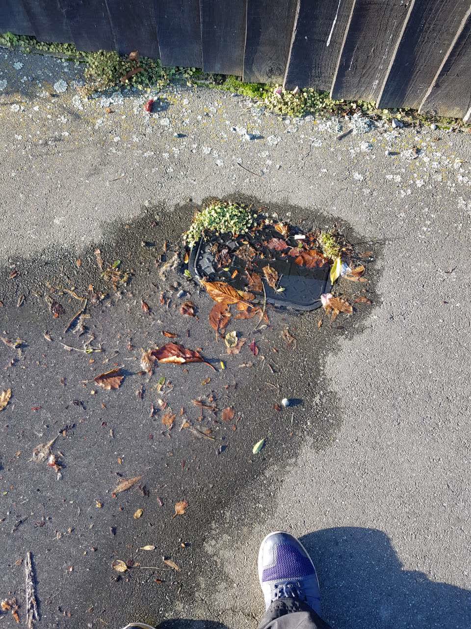 The photograph attached to this water supply report