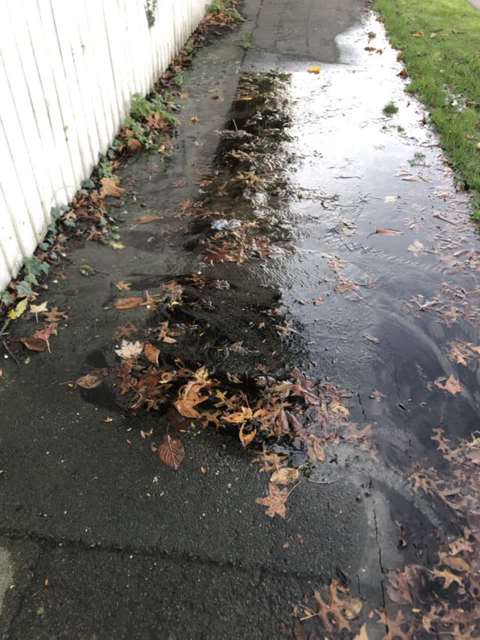 The photograph attached to this water supply report