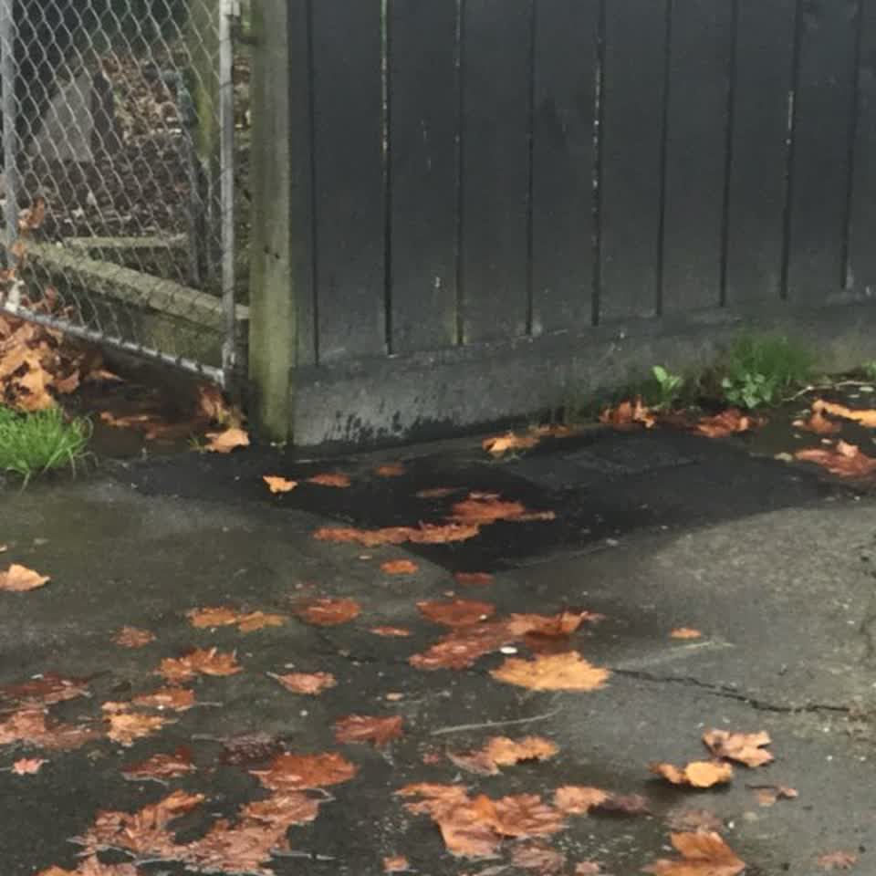 The photograph attached to this water supply report