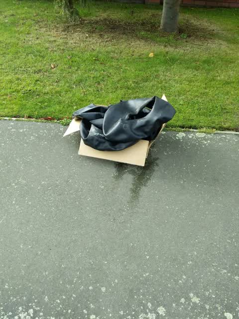 Rubbish/Recycling, a report photo