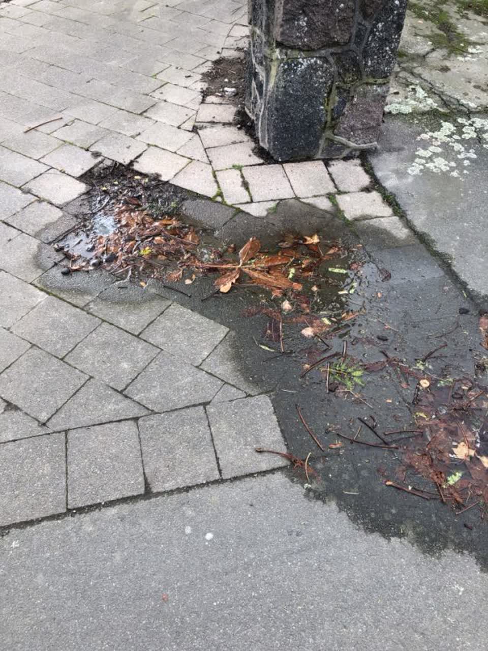 The photograph attached to this water supply report