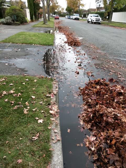 Flooding, a report photo