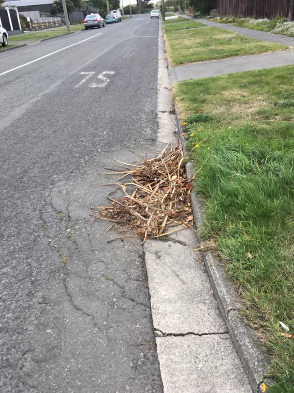 The photograph attached to this roading/streets report