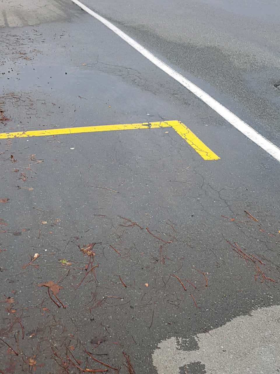 The photograph attached to this water supply report