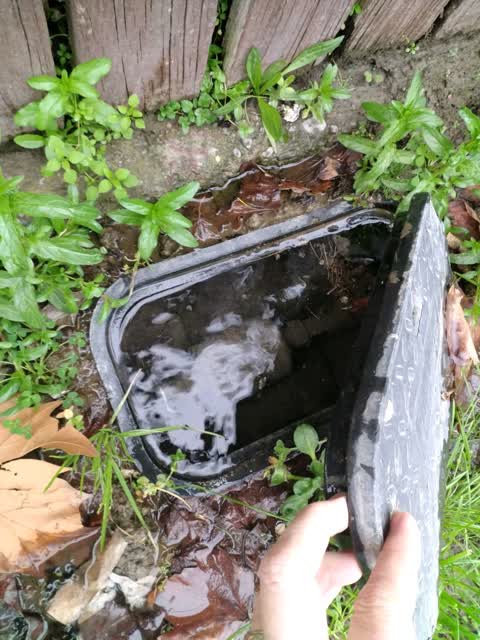Water Supply, a report photo