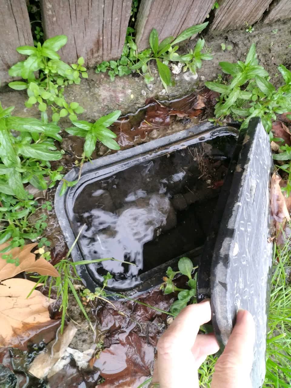 The photograph attached to this water supply report