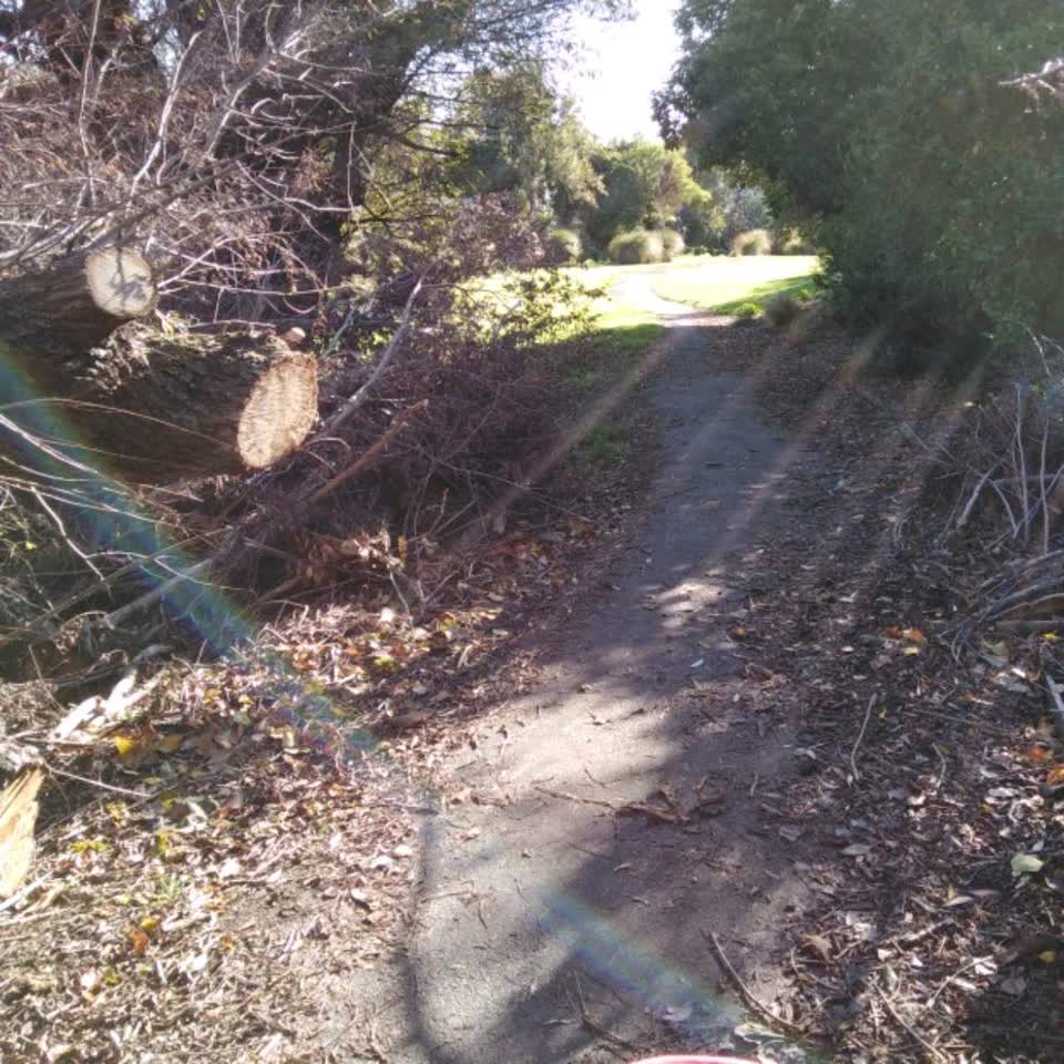 The photograph attached to this parks report