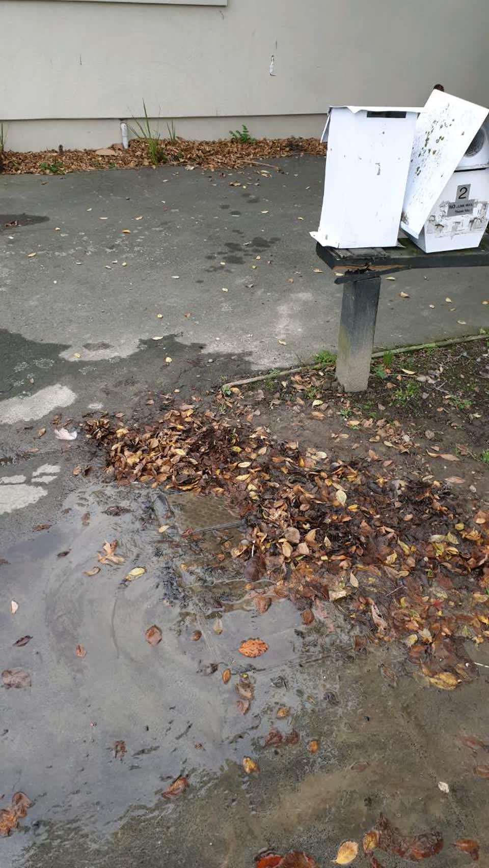 The photograph attached to this water supply report