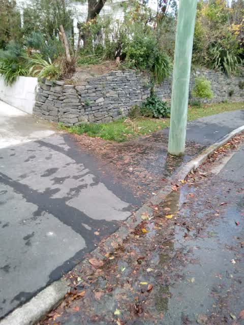 Roading/Streets, a report photo