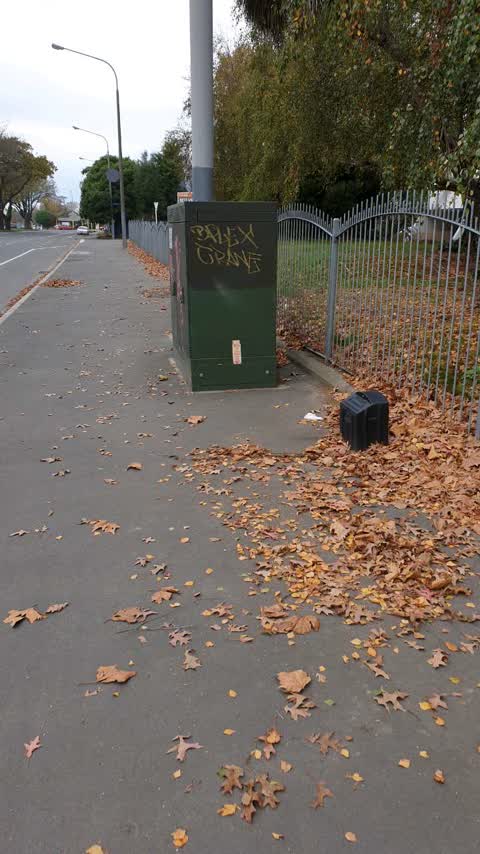 Graffiti — a report photo