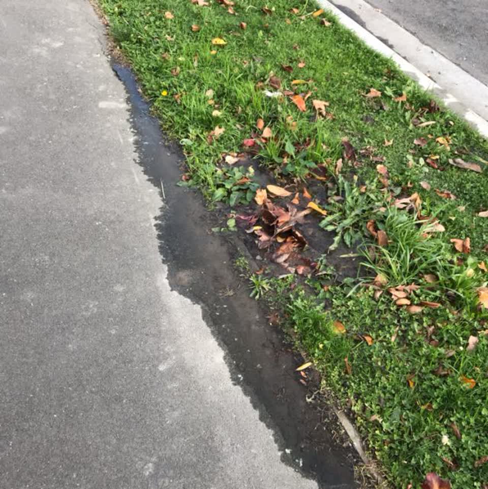 The photograph attached to this water supply report
