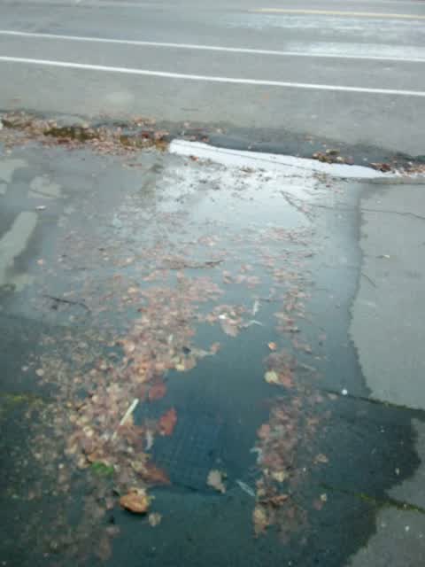 Roading/Streets, a report photo