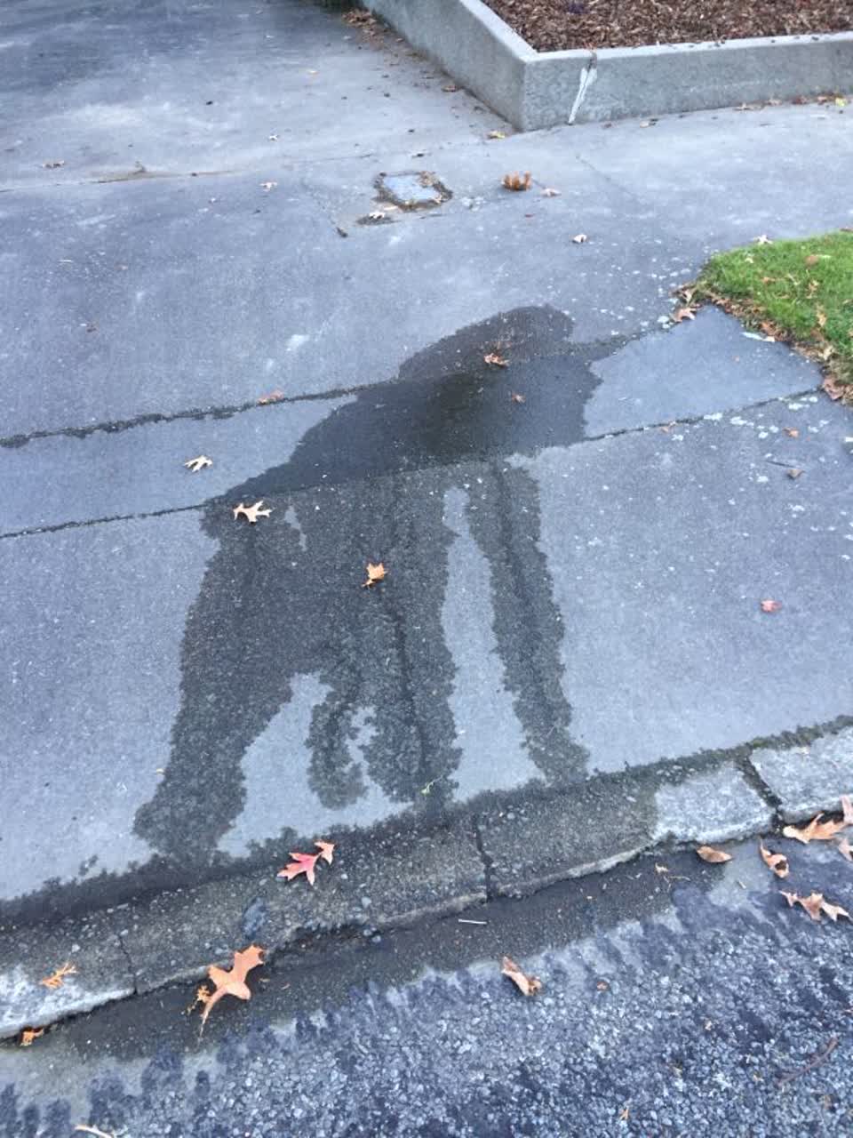 The photograph attached to this water supply report