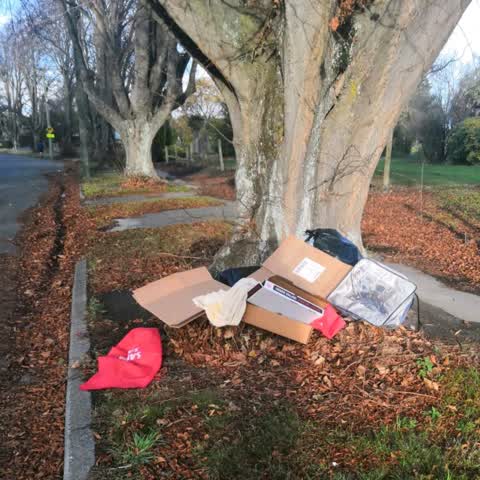 Rubbish/Recycling — a report photo
