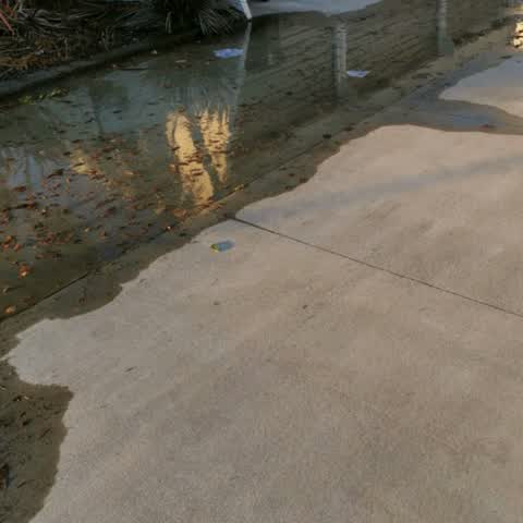 Water Supply, a report photo