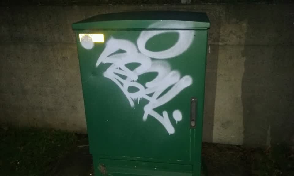 The photograph attached to this graffiti report