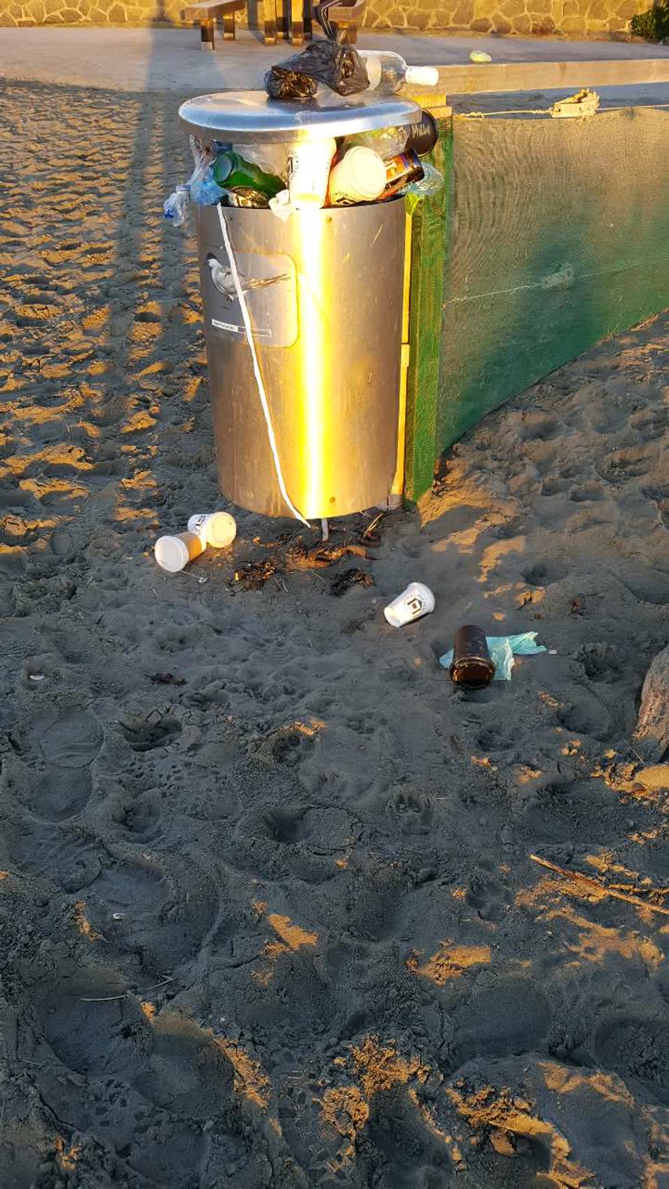 The photograph attached to this rubbish/recycling report