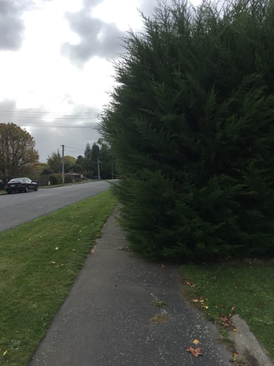 The photograph attached to this roading/streets report