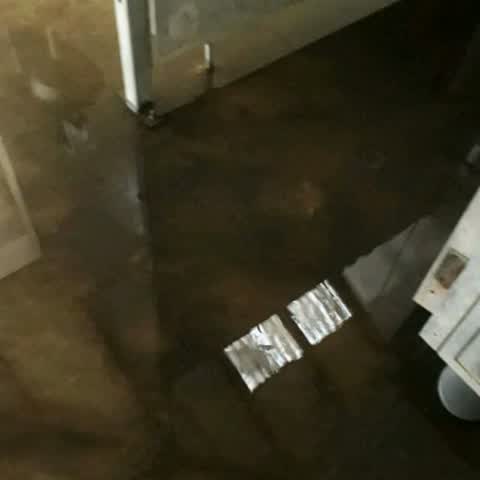 Flooding, a report photo