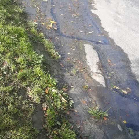 Flooding, a report photo