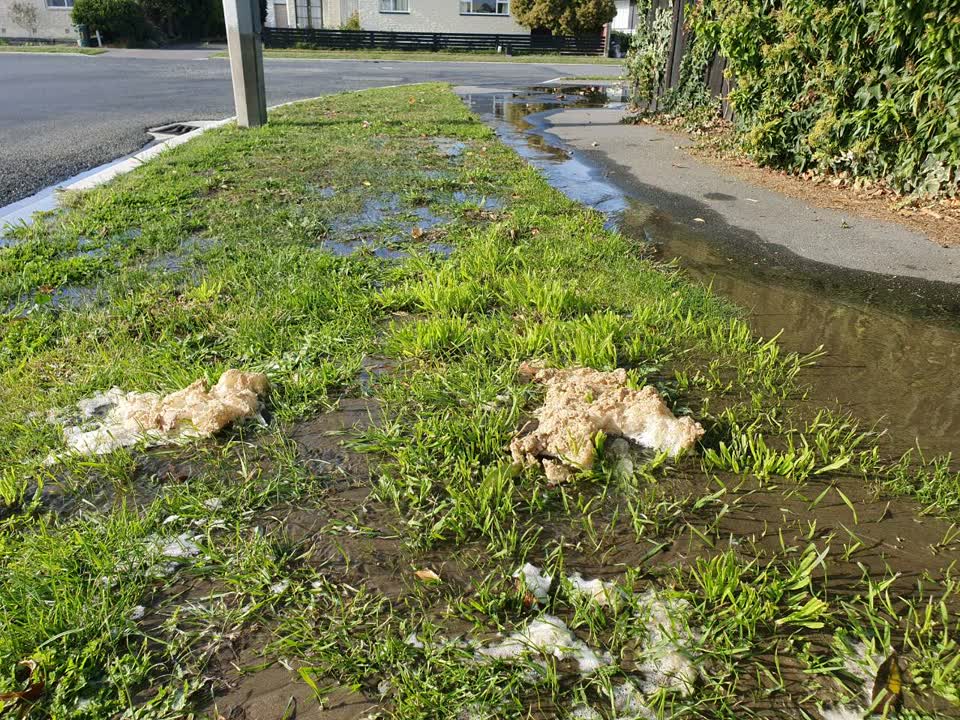 The photograph attached to this water supply report
